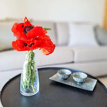 Baudrier A05 By Interhome